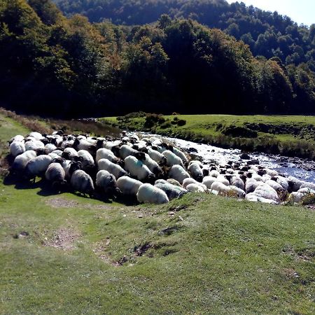 Gite Etxe Xuri Osses Bagian luar foto
