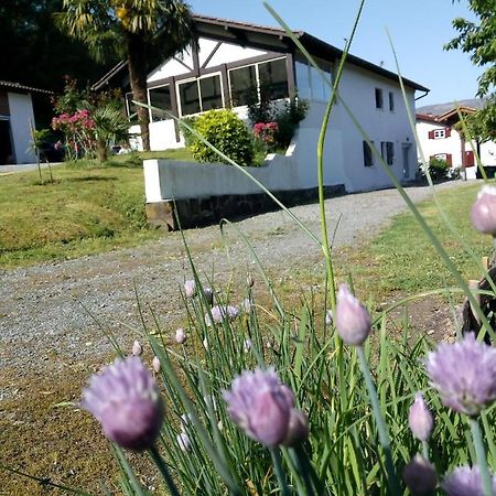 Gite Etxe Xuri Osses Bagian luar foto