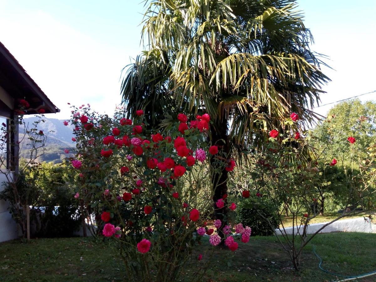 Gite Etxe Xuri Osses Bagian luar foto
