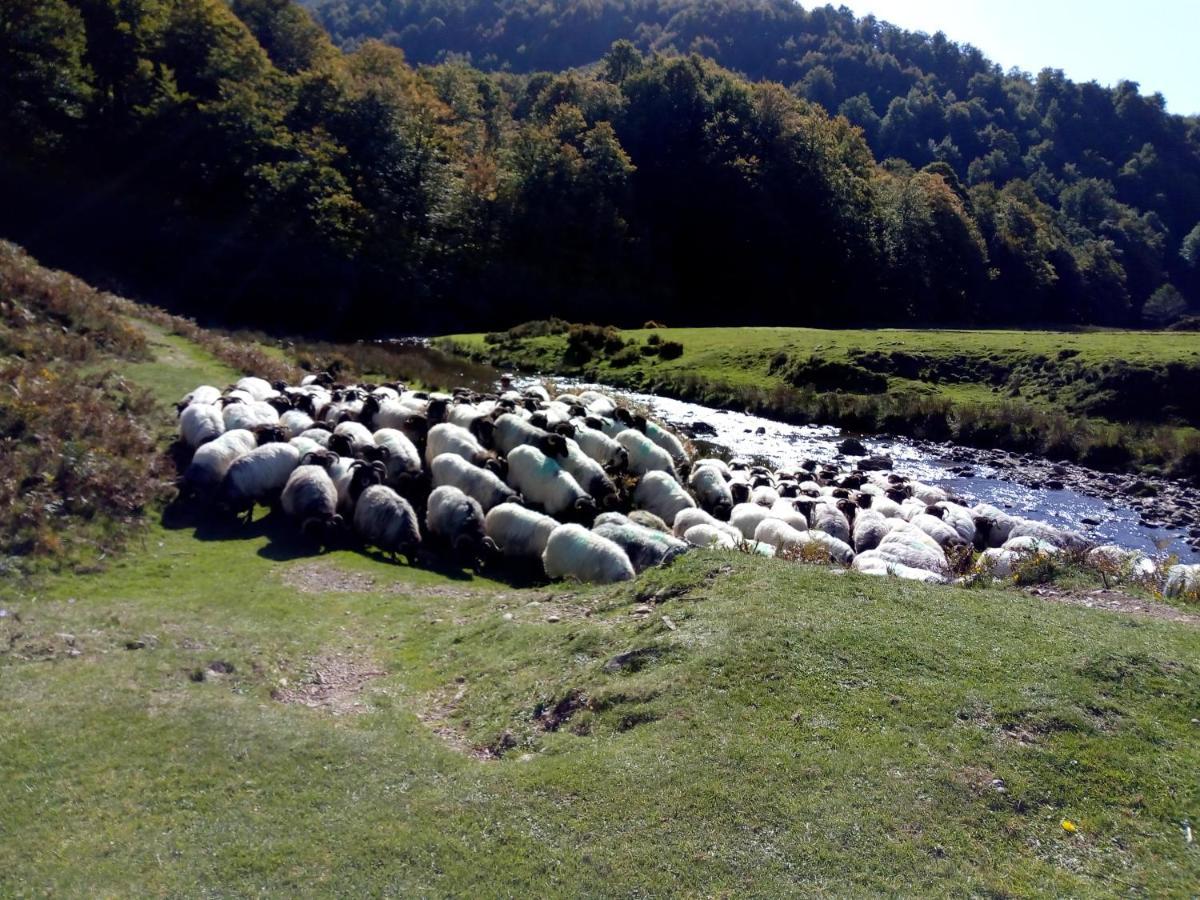 Gite Etxe Xuri Osses Bagian luar foto